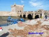 Dans le port et sur les remparts d'Essaouira