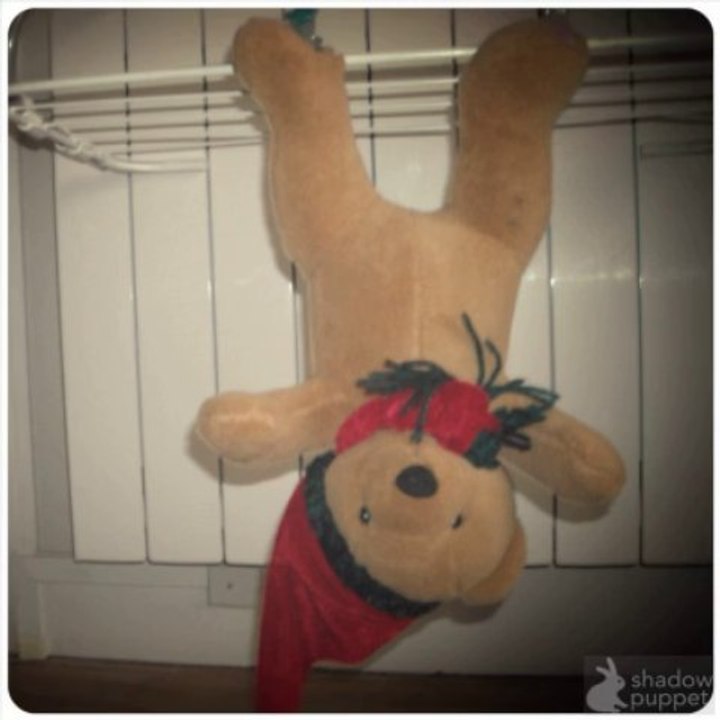 Comptine Mon petit ours