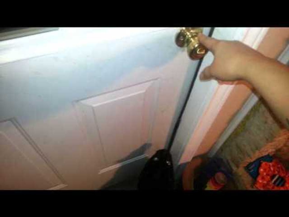 Emmylou the Cat Shows off Trick