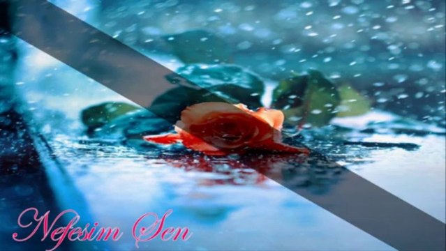 ZEKAİ TUNCA GÜLÜ SUSUZ SENİ AŞKSIZ BIRAKMAM.(NEFESİM SEN)