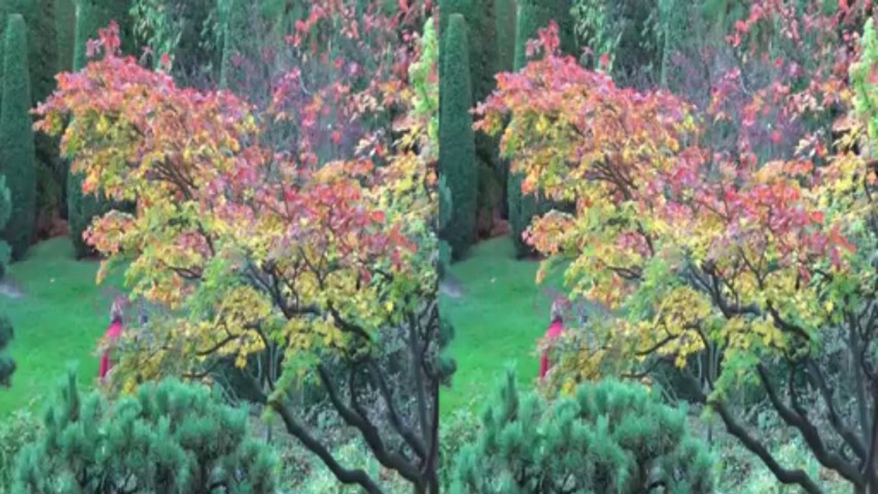 3d - bonn - japanischer garten