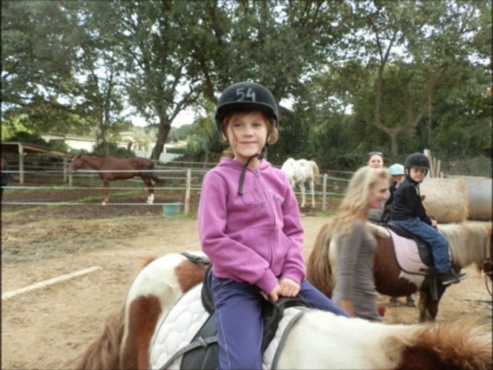 poneys