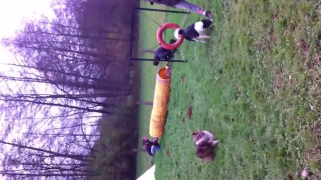 Initiation agility ixelle et Ima Djinn