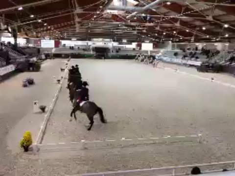 Dressage : à l'heure des reprises en musique