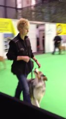 Entrée Automnales 2013