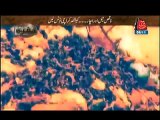 Khufia (Cooking Oil k Naam Par Murgiyon Ki Charbi Aur Hadiyon Ka Tayl..) – 17th November 2013 – Repeat