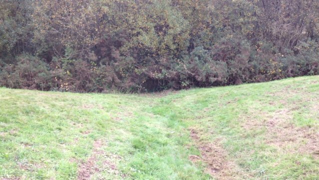 Nouveau-né découvert mort