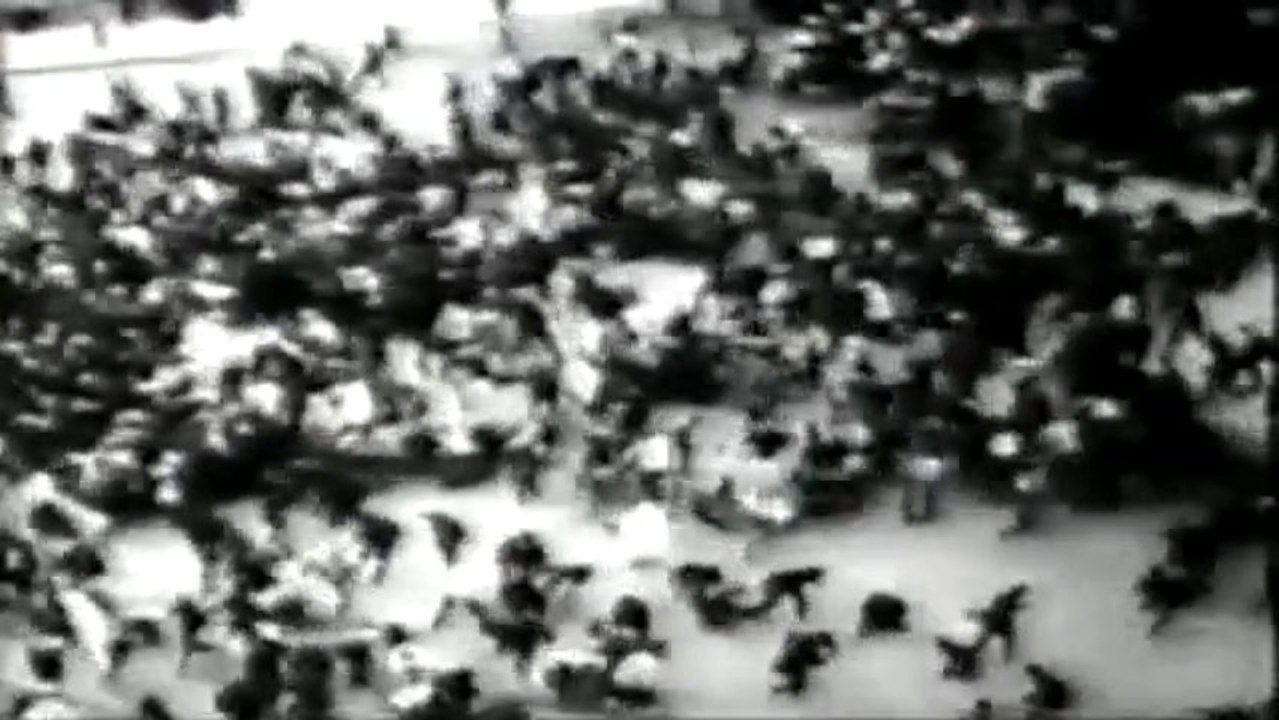 The Century Of The Self - Happiness Machines (1)