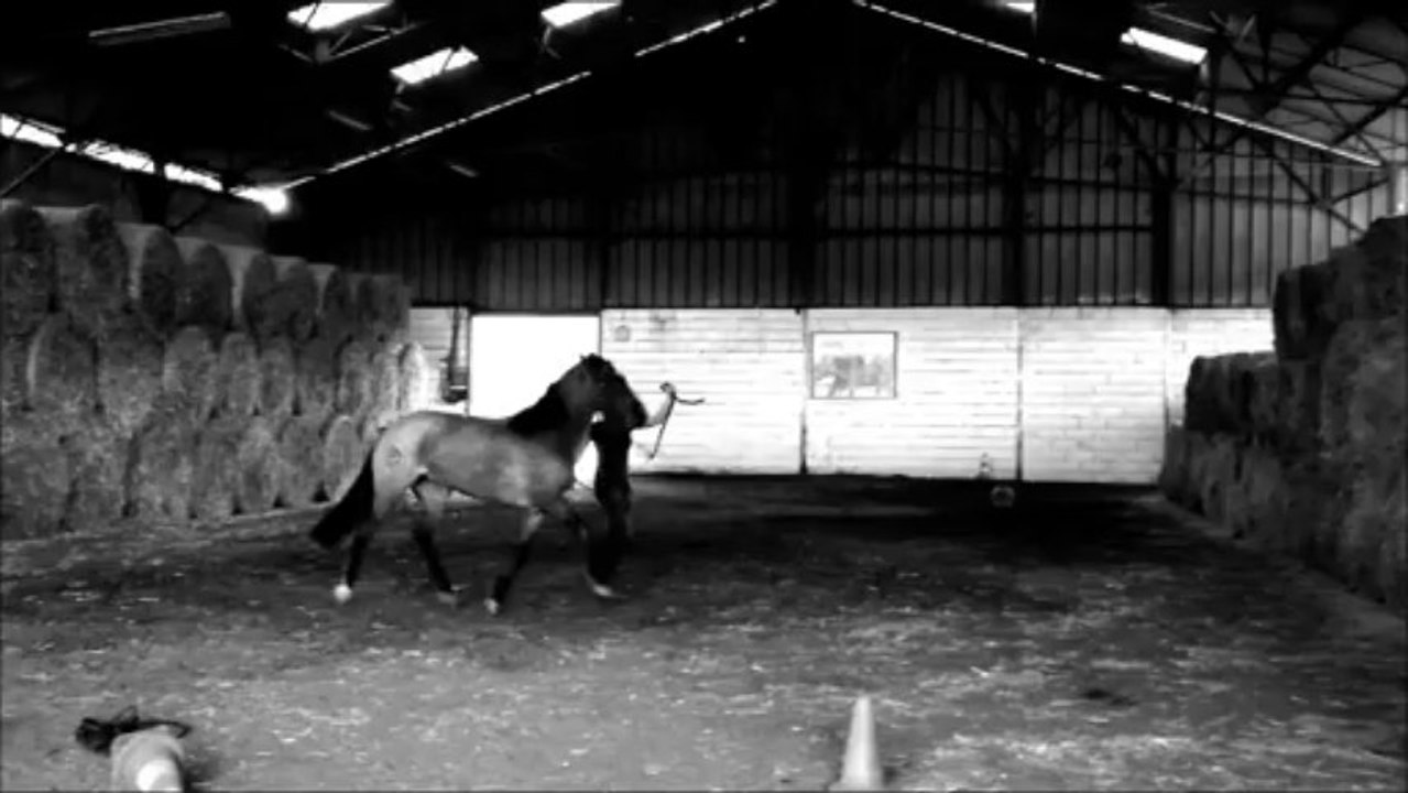 vidéo rumba