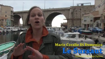 Sursaut-Paroles-18-Marie Coralie Di Domenico