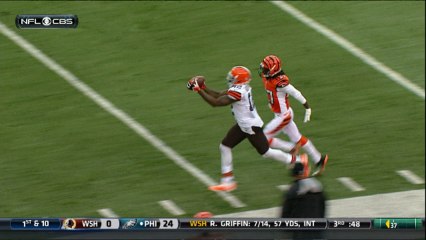 Josh Gordon 74-yard touchdown catch