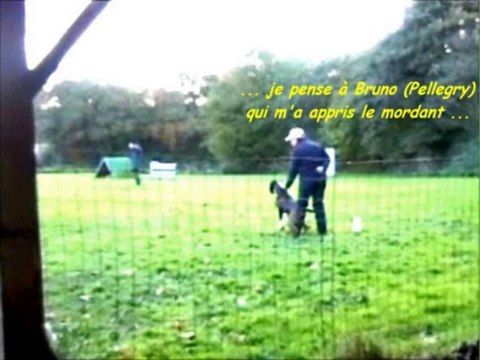 Boxer Giotto du Dolon conduit par Christine CURT : Sélection - défense - - Bretagne 09-11-13 à Kerroué