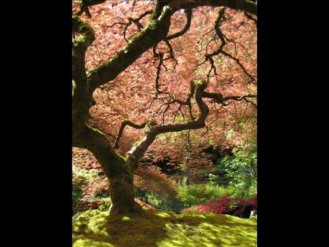 Debussy Etude pour les arpéges composés