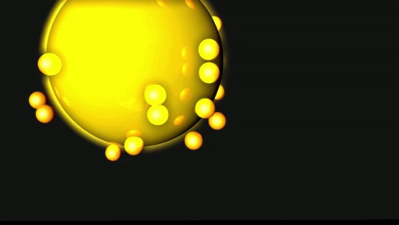 Edward DMA Test Video .mpeg Codec