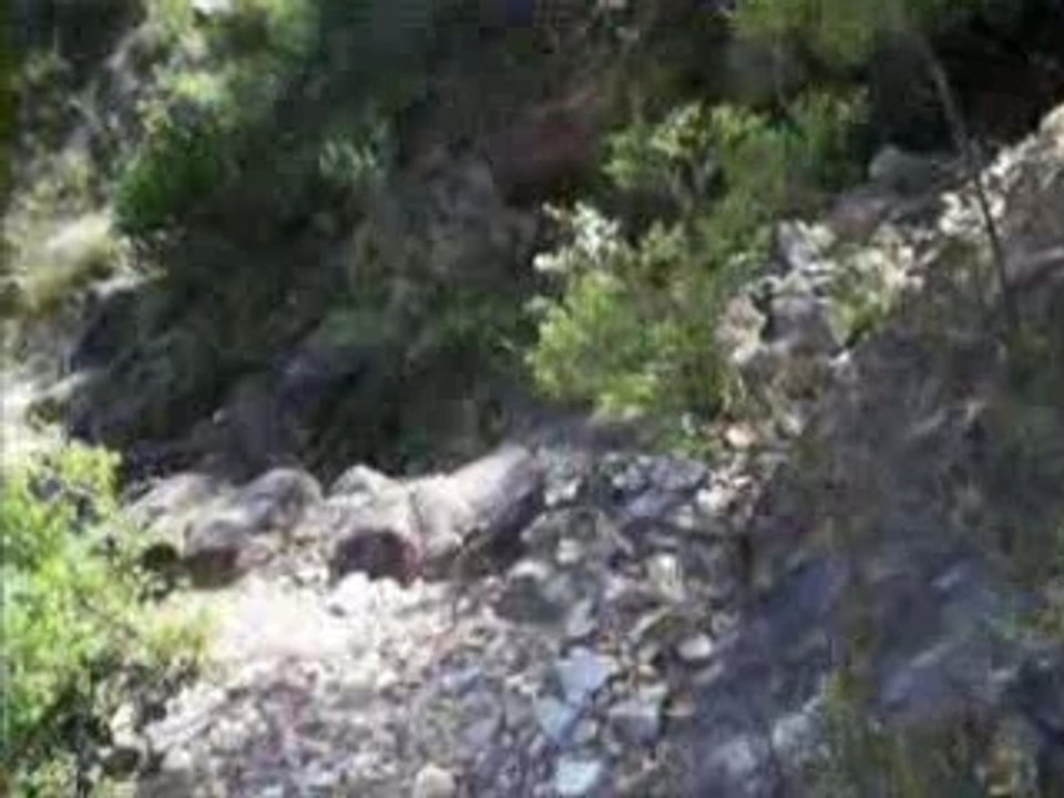 Blue Mountains 3