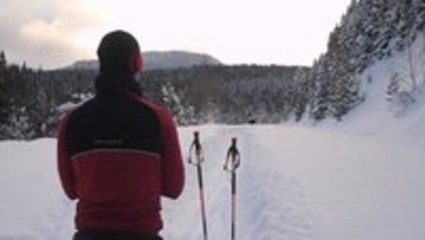 Huge Moose Tramples Past a Group of Skiers in Deep Snow