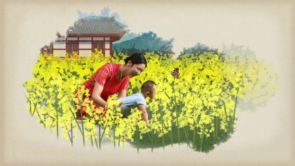 Respuestas - Preguntas Vitales