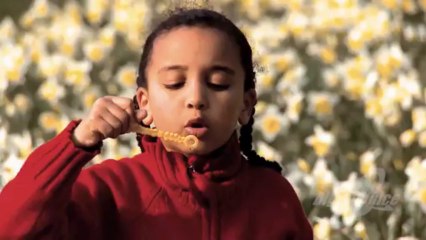 Howard Davidson Arlington MA - videos