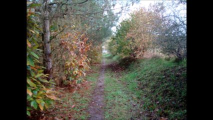 Sur les sentiers TRELIVAN