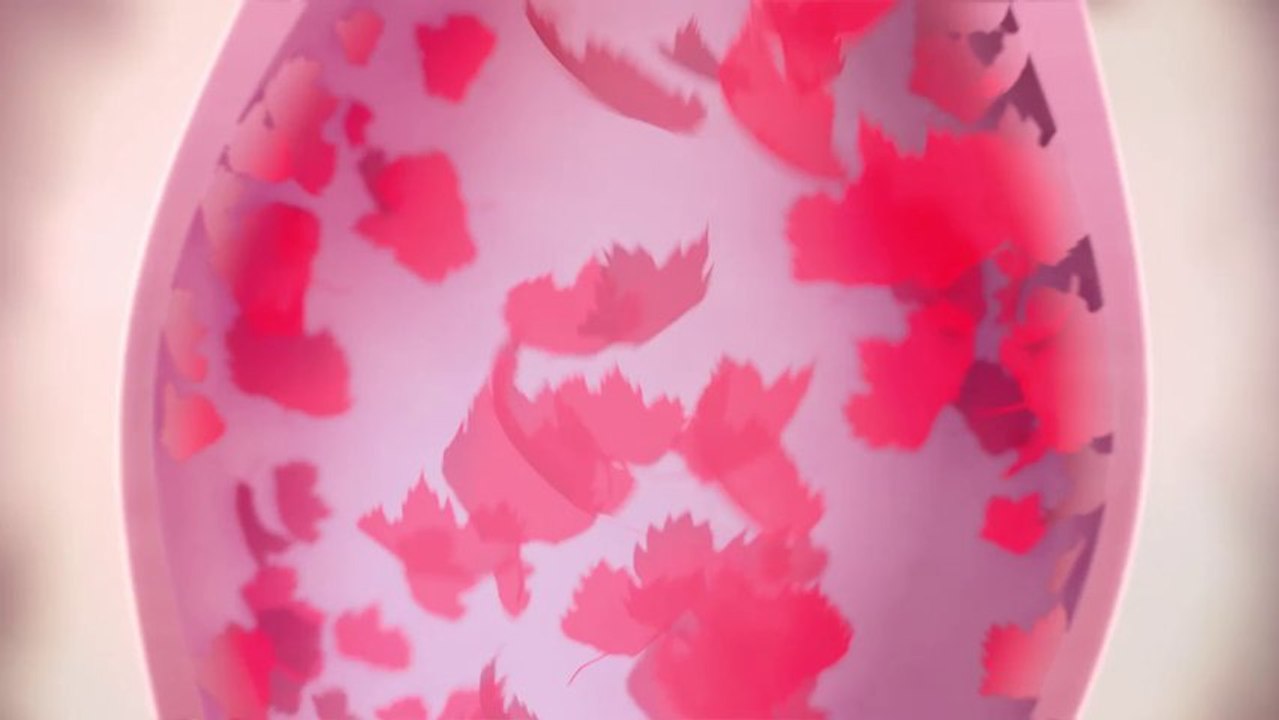 VFX : Antistax