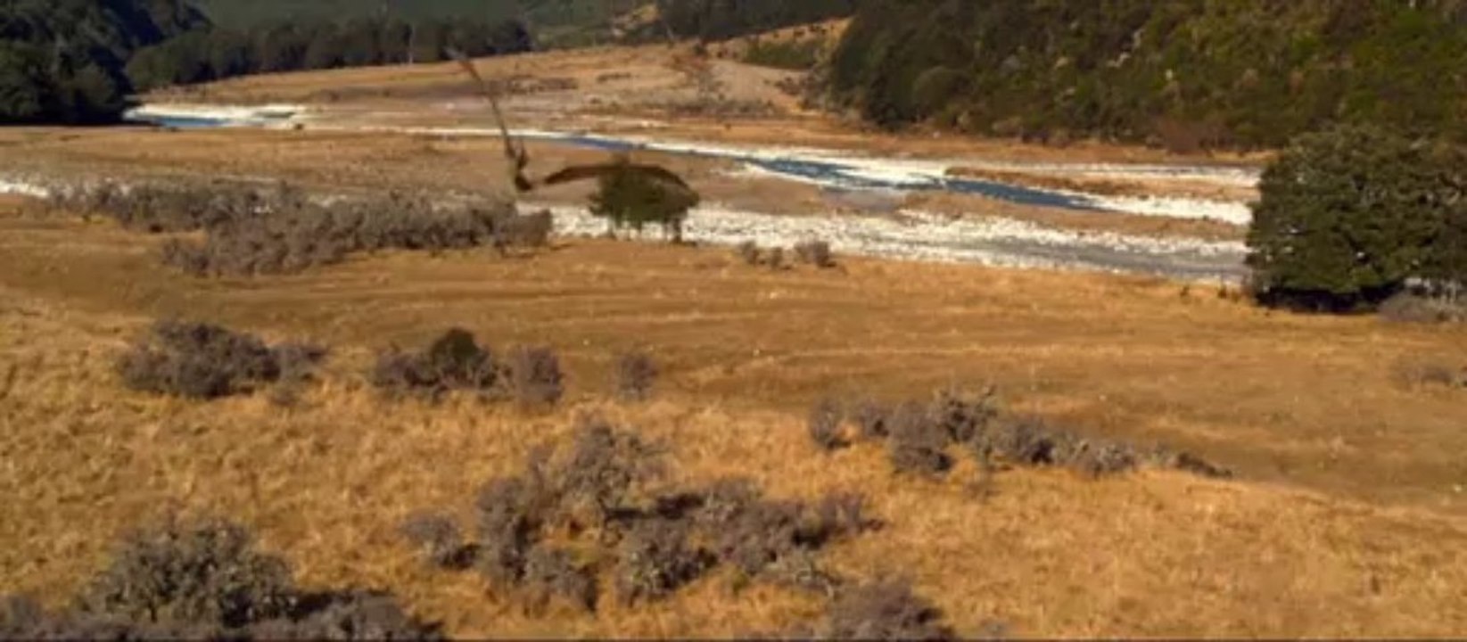 Walking With Dinosaurs - Trailer