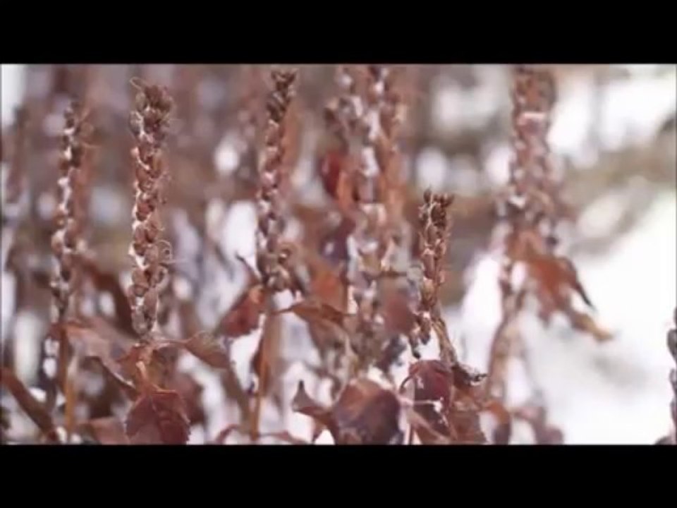 İsmail Tunçbilek Ben Hala Sevdalı...