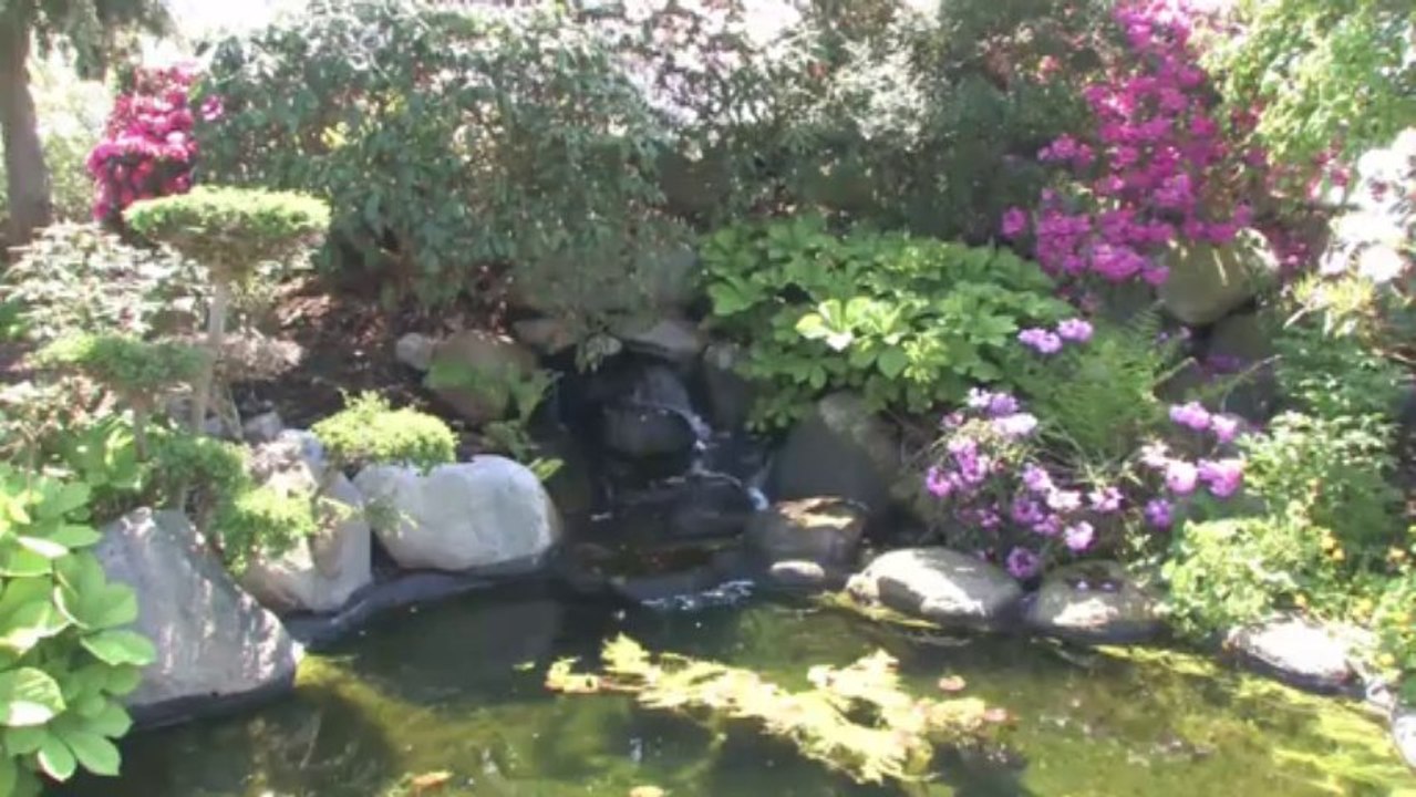 Nielsen Pond in the Spring
