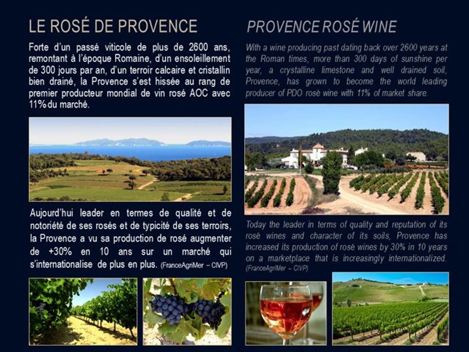 BLUE SIDE - ACHAT VENTE VIGNOBLES PROPRIETES ET DOMAINES VITICOLES - PROVENCE VAR