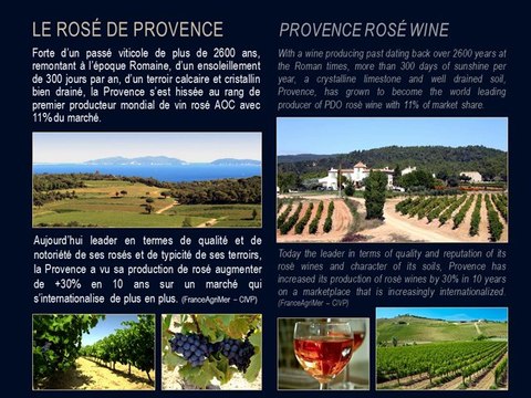 BLUE SIDE - ACHAT VENTE VIGNOBLES PROPRIETES ET DOMAINES VITICOLES - PROVENCE VAR