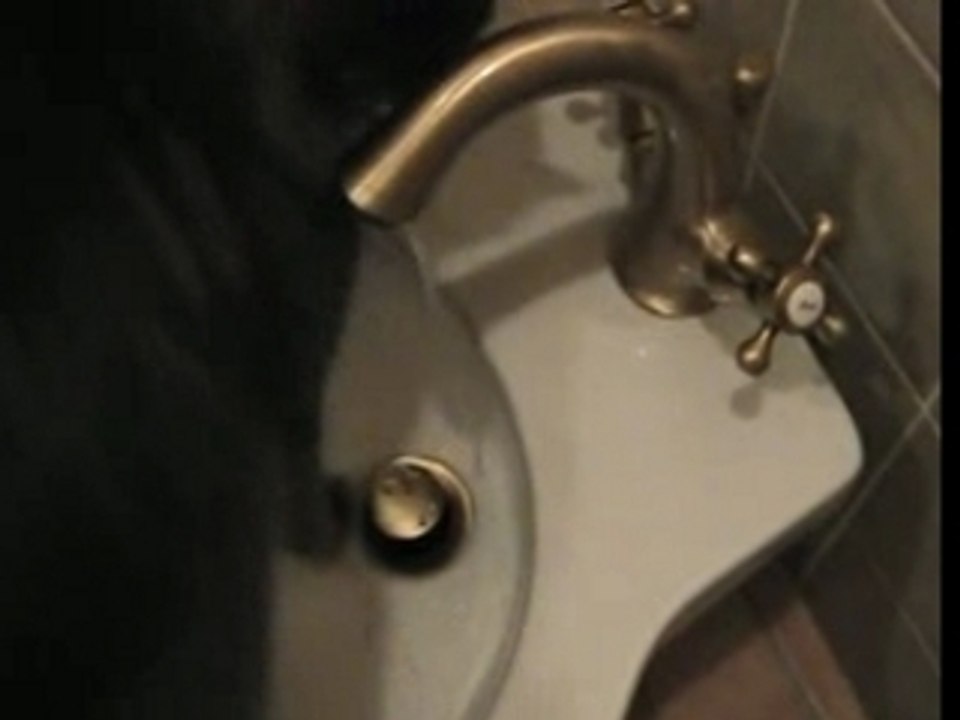 shampoing du ninou