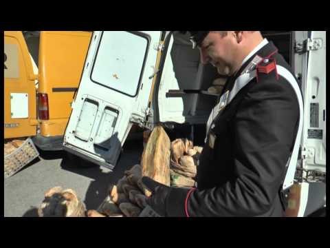 Napoli - Sequestrati nove forni abusivi (17.11.13)