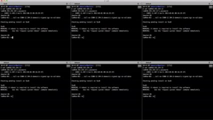 How to upgrade 6 Juniper EX3300 switches at the same time