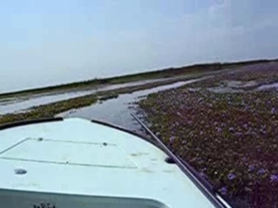 Balade sur le Rio Corrientes, Arg.