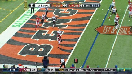 QB Dalton to TE Smith, 2-yd, pass, TD