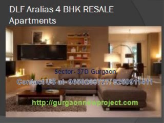 DLF Aralias Resale Apartments In Sector-42 Gurgaon