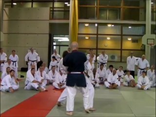 self defense sur saisie ou coup de poing direct..2013