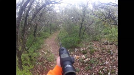 Chasse au sanglier dans l'Hérault. Causse. 2013