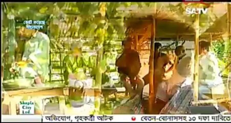 chayer cup a jhor part 2
