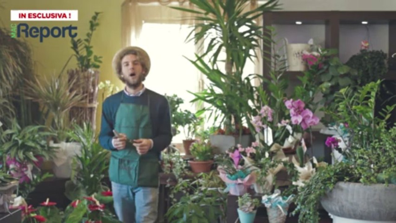 Sensore per Piante Parrot Flower Power: Unboxing e Guida all'Utilizzo