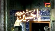 Labaik Ya Hussain (AS) | Ali Raza Rizvi 2013-14