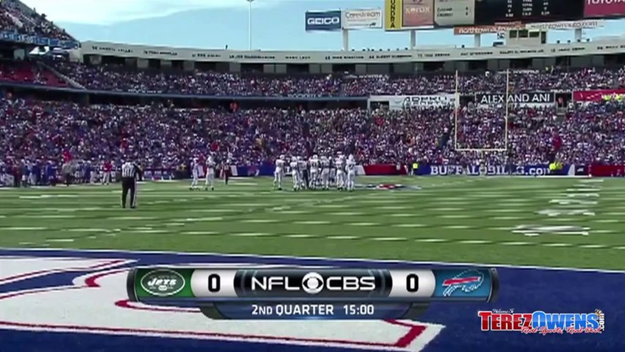 Buffalo Bills Fan Falls From 300 level Ralph Wilson Stadium