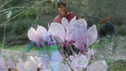 Slayt_Kavacık Çamlıköy 17.11.2013