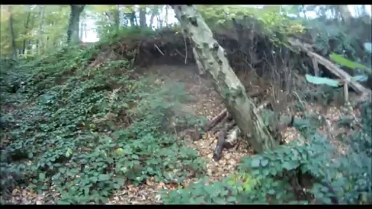 tt's r