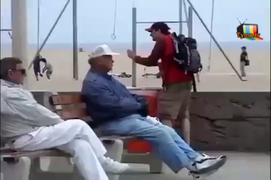 Des mouettes nourries aux laxatifs sur une plage bondée de monde