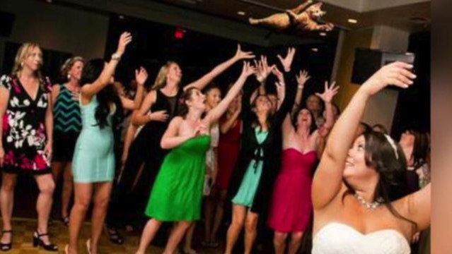 Brides Throwing Cats Instead of Bouquets at Weddings