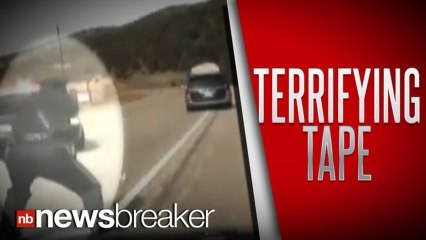 CAUGHT ON TAPE: Officer Opens Fire on Van Packed With Kids After Mom Resists Arrest