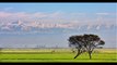 Head Marala Beautiful natural scene,Hill view of kashmir from Head Marala,Beautiful scene of Sialkot near Jammu,natural life near Head marala