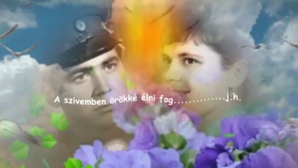 HŐSI HALOTTRÓL  SZÓL EZ A DAL-TÜZPIROS VIRÁG HD