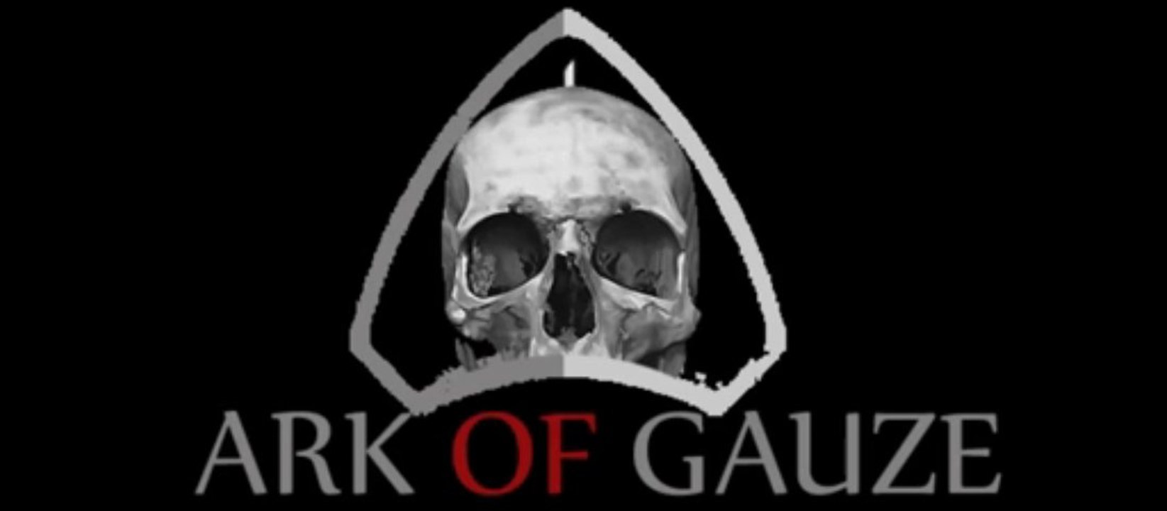 Presentacion 'Ark Of Gauze' (Comunidad Latinoamericana de Dir en Grey)