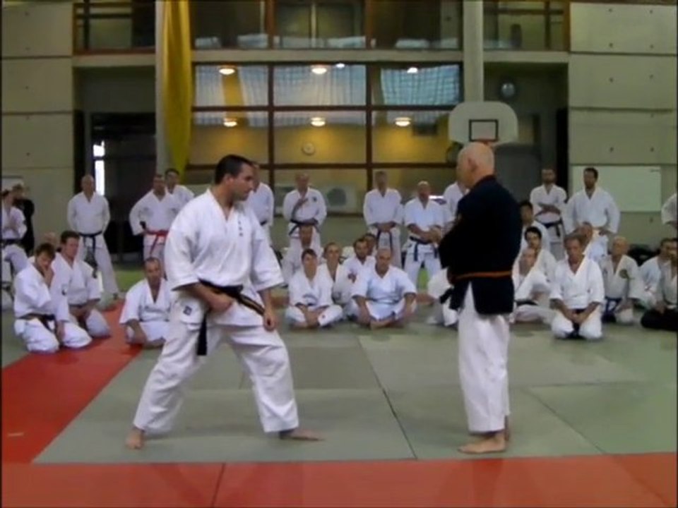 stage national nihon tai jitsu 2013